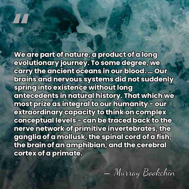 We are part of nature, a product of a long evolutionary journey.&hellip; - Murray Bookchin