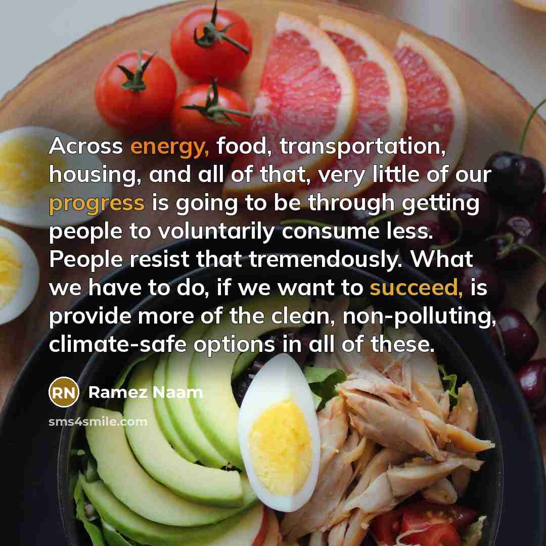 “Across energy, food, transportation, housing, and all of that, very little of our progress is going to be through getting people to voluntarily consume less. People resist that tremendously. What we have to do, if we want to succeed, is provide more of the clean, non-polluting, climate-safe…” quote by Ramez Naam