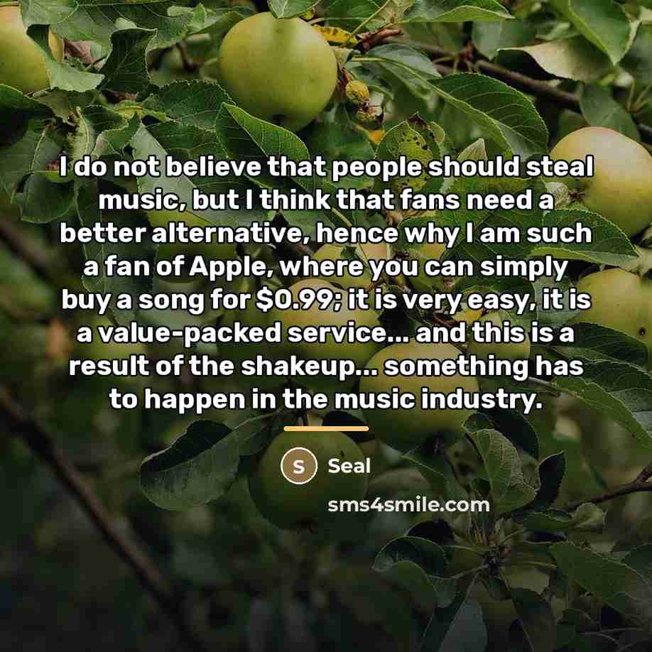 “I do not believe that people should steal music, but…” quote by Seal