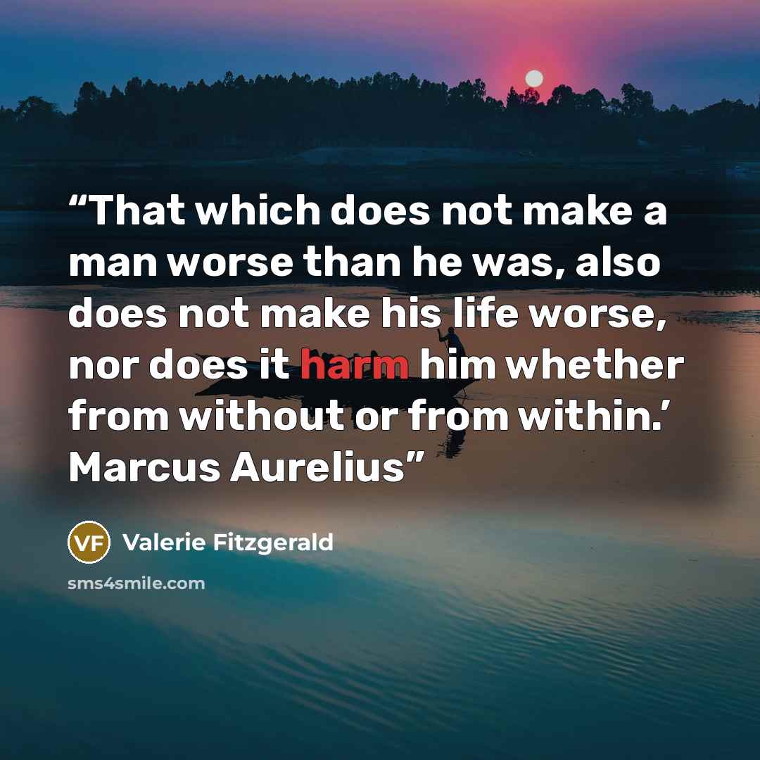 “That which does not make a man worse than he was, also does not make his life worse, nor does it harm him whether from without or from within.’ Marcus Aurelius” quote by Valerie Fitzgerald