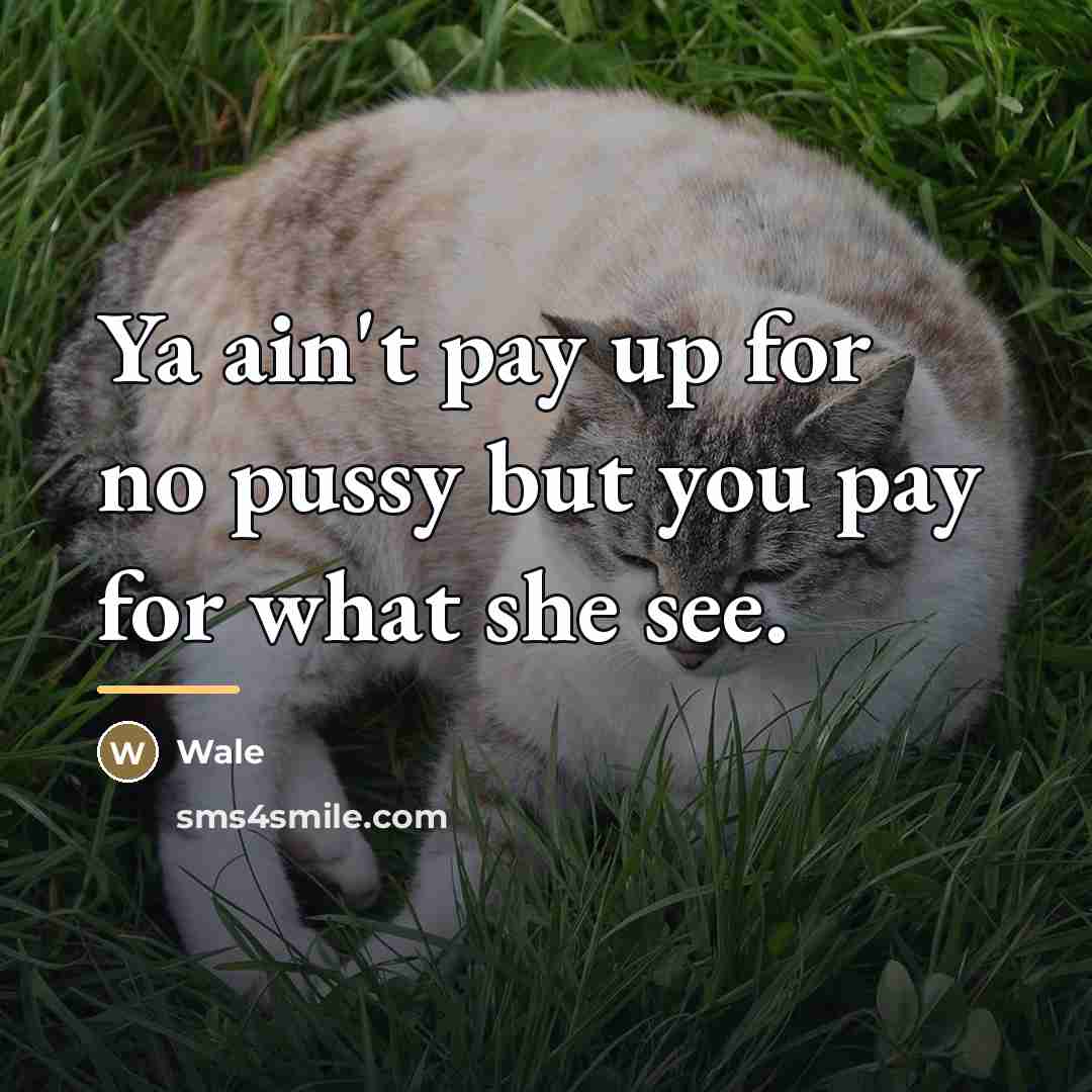 “Ya ain't pay up for no pussy but you pay…” quote by Wale