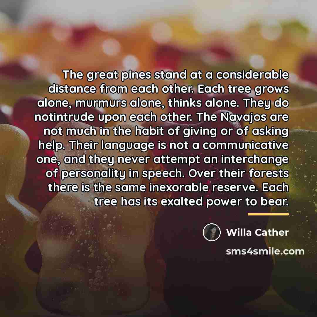 “The great pines stand at a considerable distance from each…” quote by Willa Cather