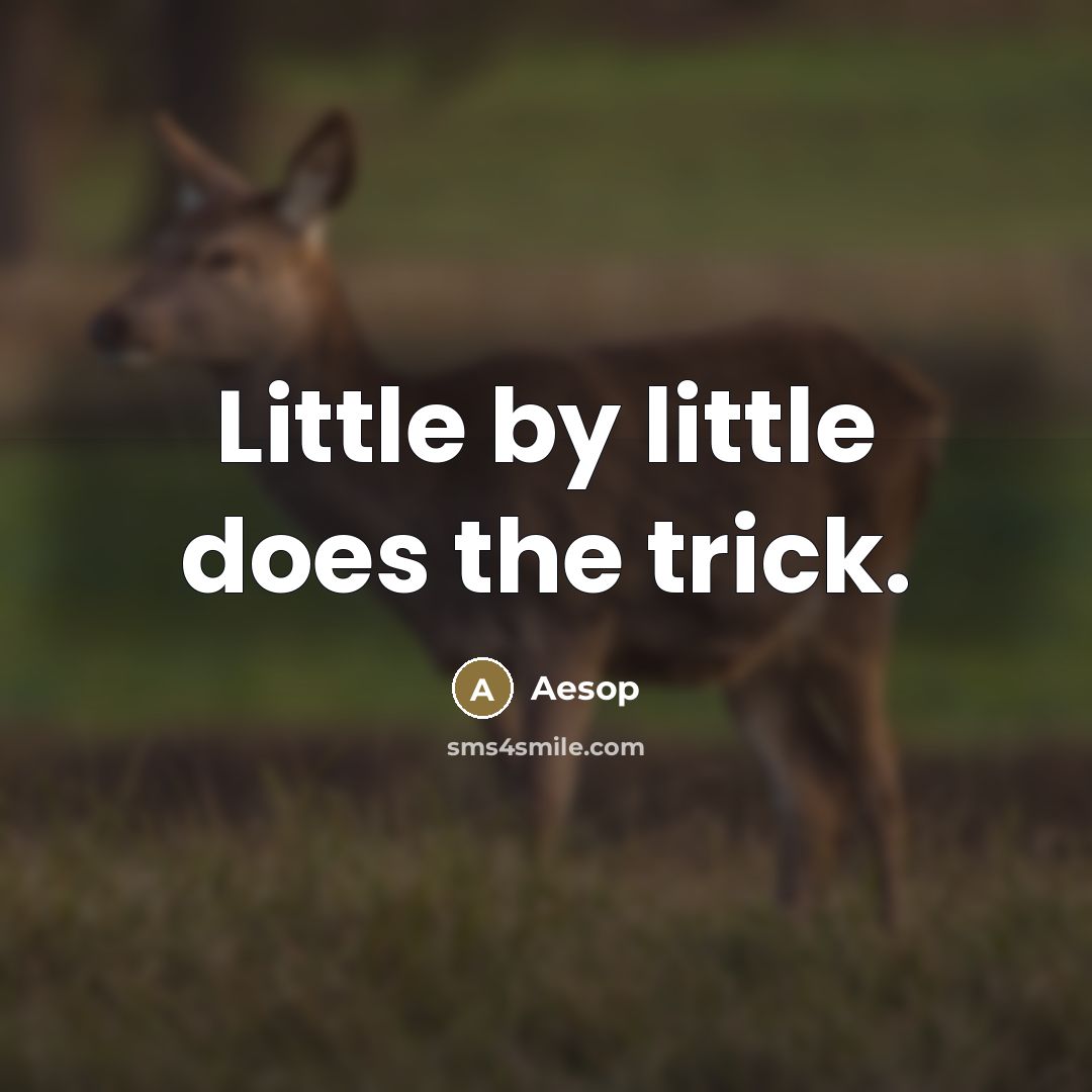 “Little by little does the trick.…” quote by Aesop
