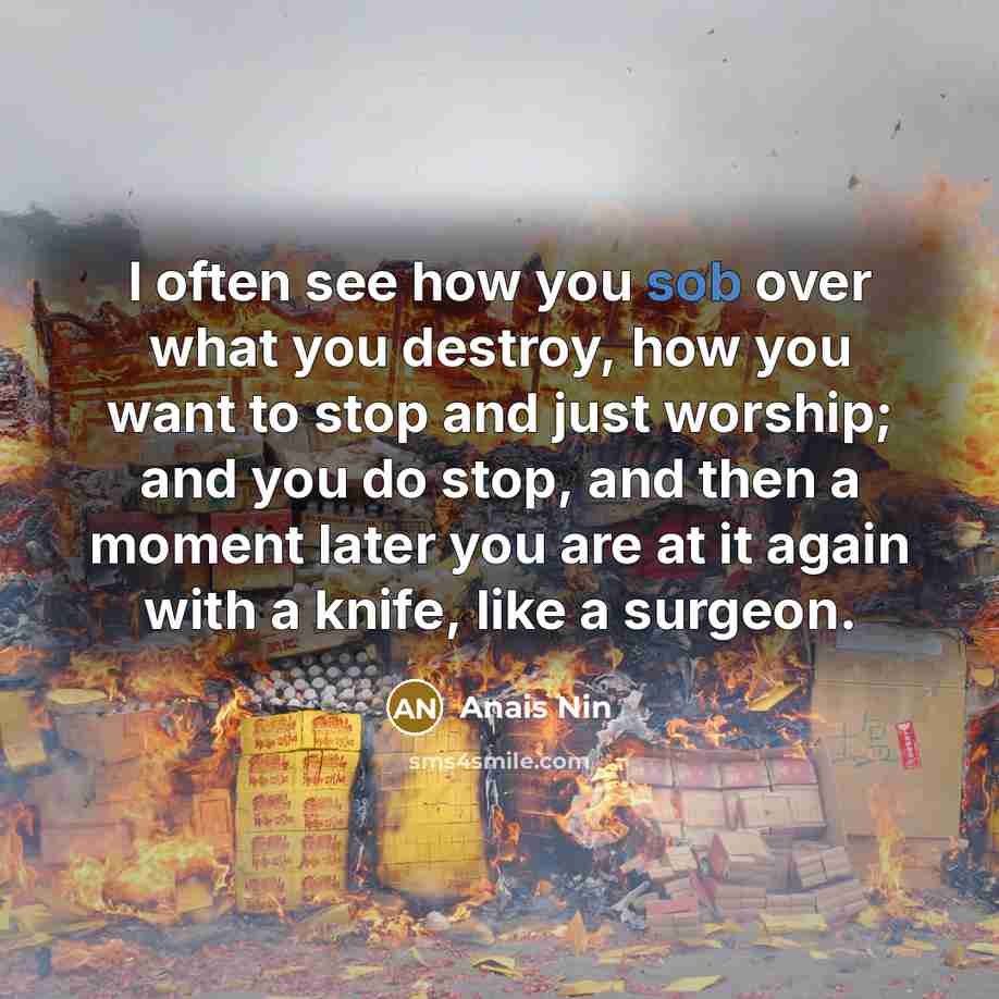 “I often see how you sob over what you destroy,…” quote by Anais Nin
