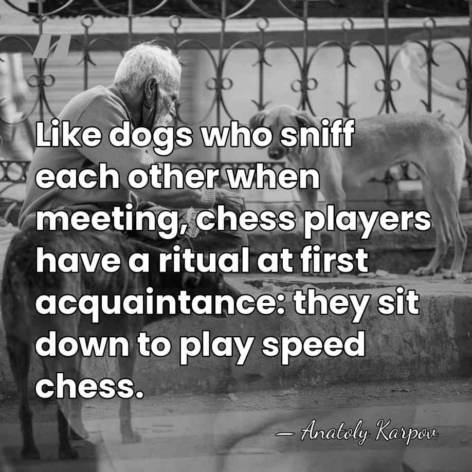 Like dogs who sniff each other when meeting, chess players have a&hellip; - Anatoly Karpov