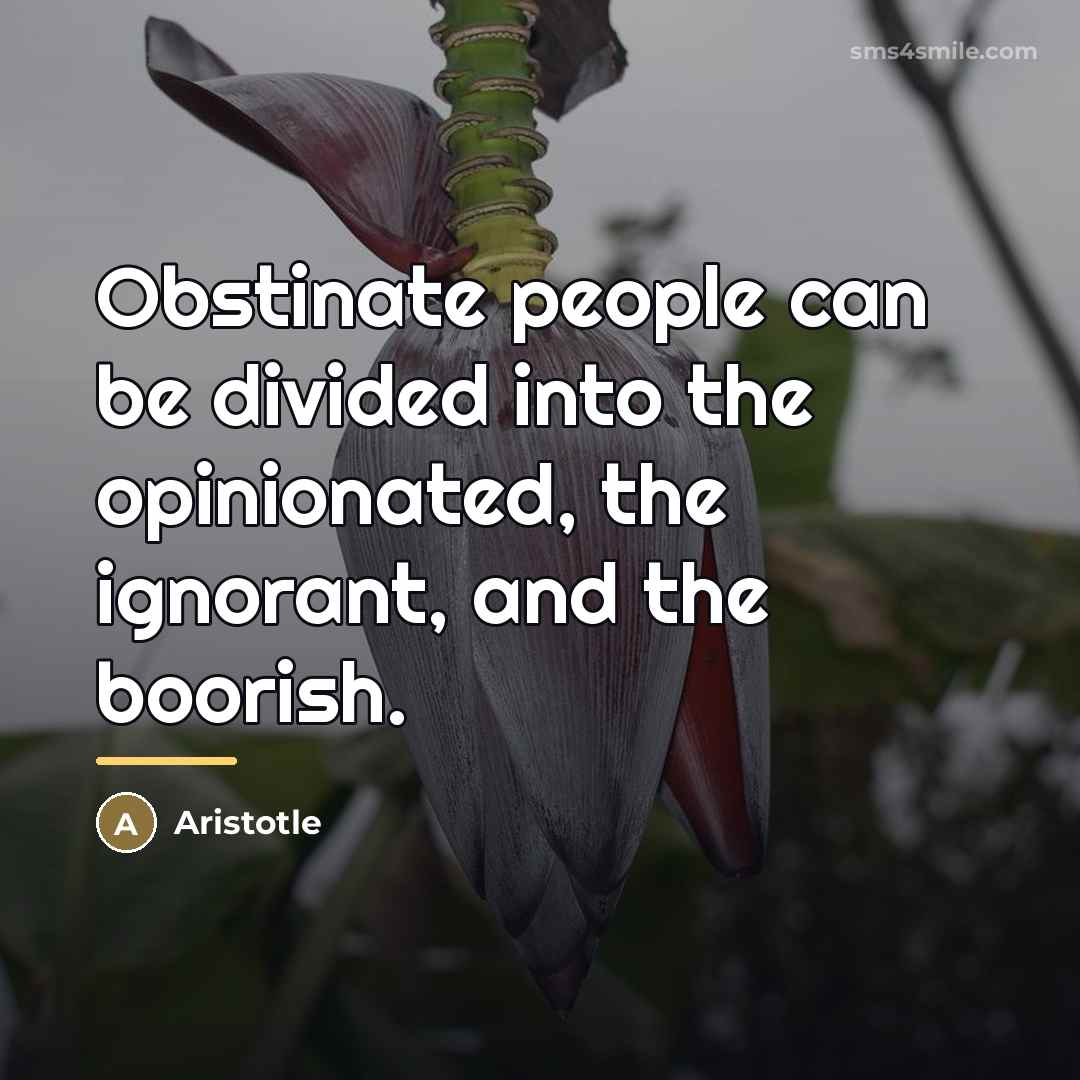 “Obstinate people can be divided into the opinionated, the ignorant,…” quote by Aristotle