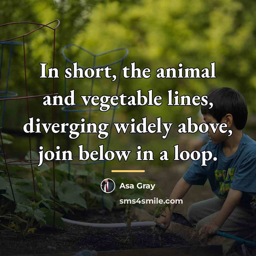 “In short, the animal and vegetable lines, diverging widely above,…” quote by Asa Gray