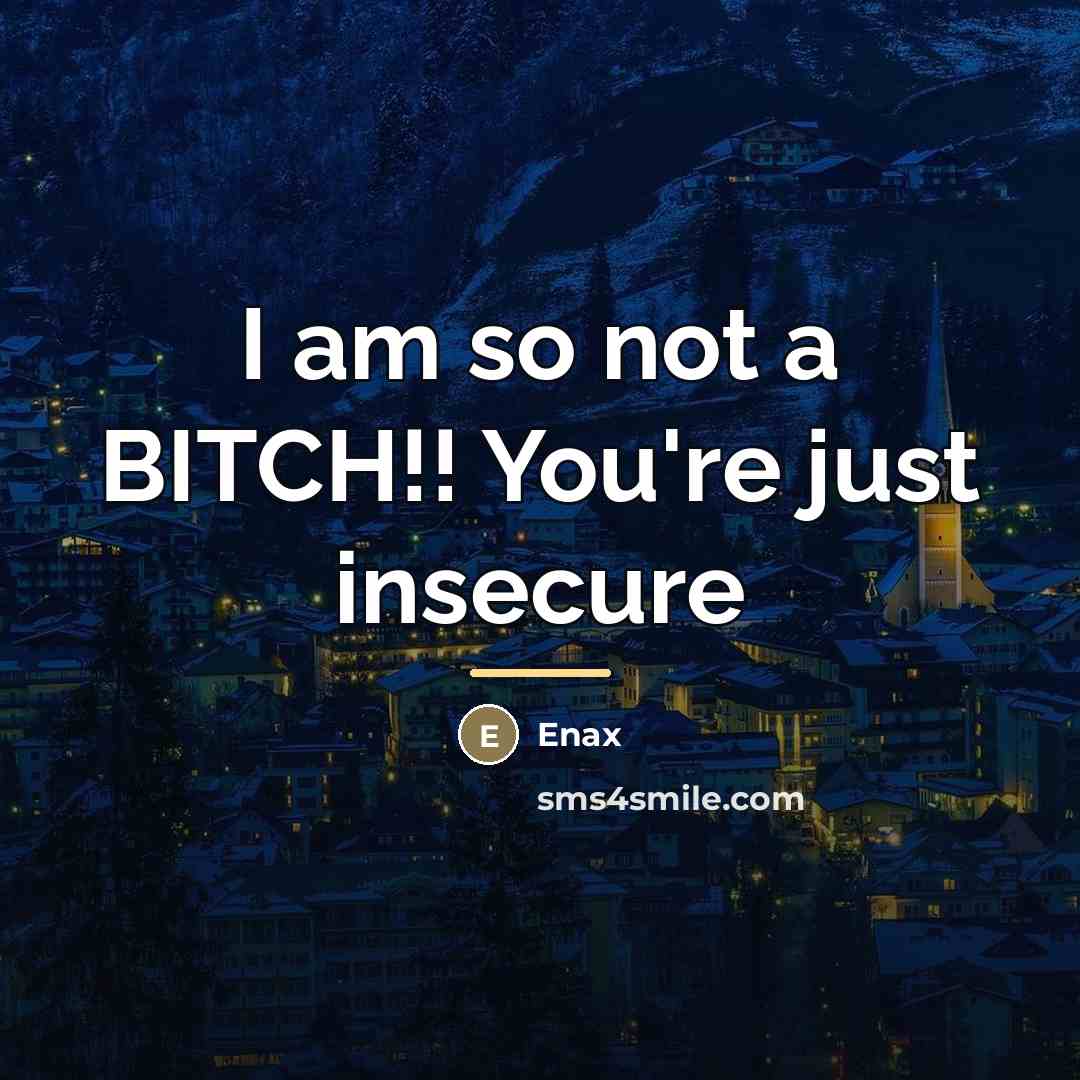 “I am so not a BITCH!! You're just insecure…” quote by Enax