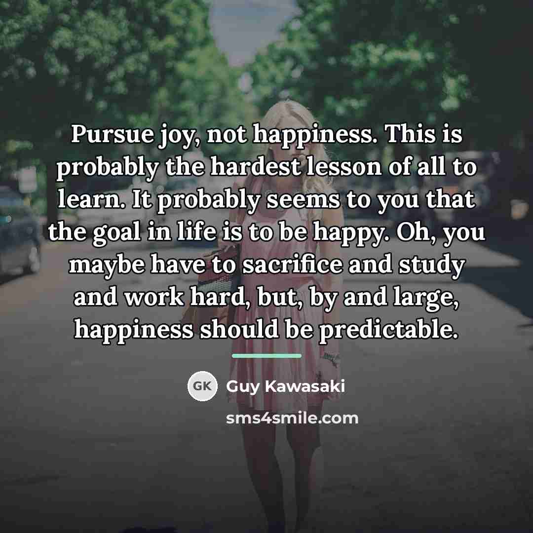 “Pursue joy, not happiness. This is probably the hardest lesson…” quote by Guy Kawasaki