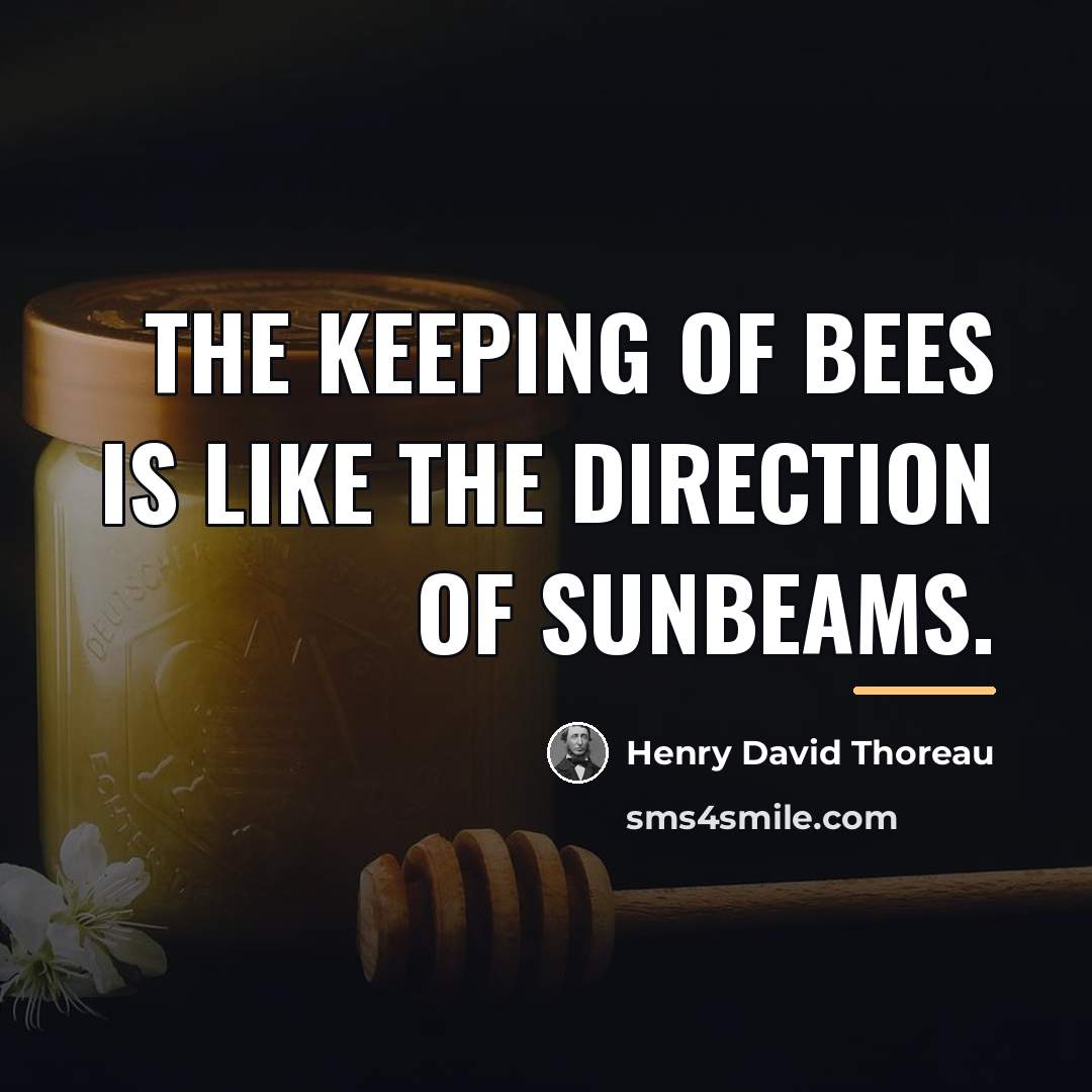 “The keeping of bees is like the direction of sunbeams.…” quote by Henry David Thoreau