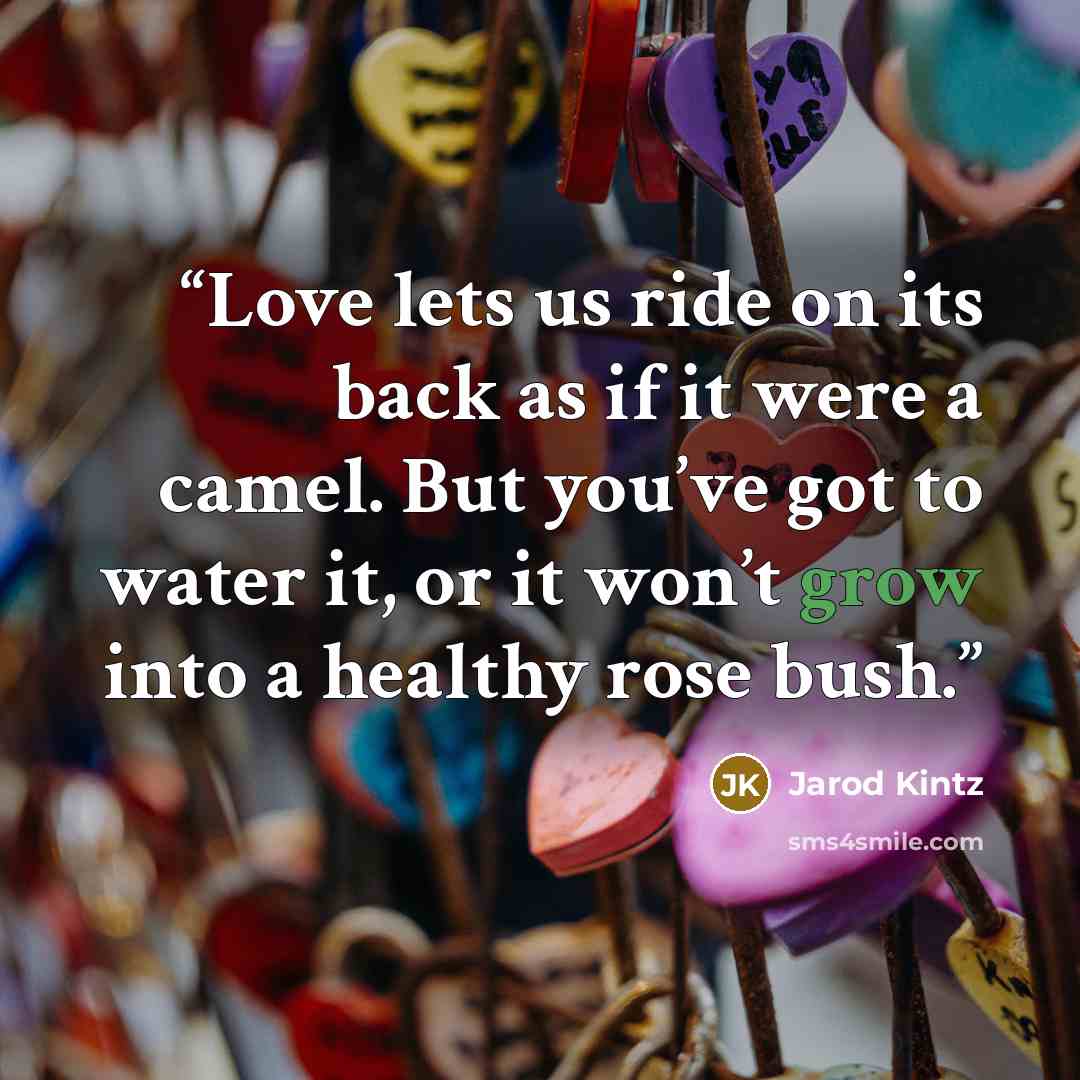 “Love lets us ride on its back as if it were a camel. But you’ve got to water it, or it won’t grow into a healthy rose bush.” quote by Jarod Kintz