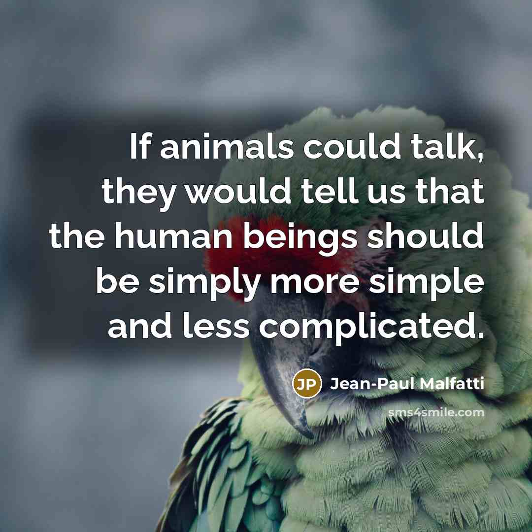 “If animals could talk, they would tell us that the human beings should be simply more simple and less complicated.” quote by Jean-Paul Malfatti