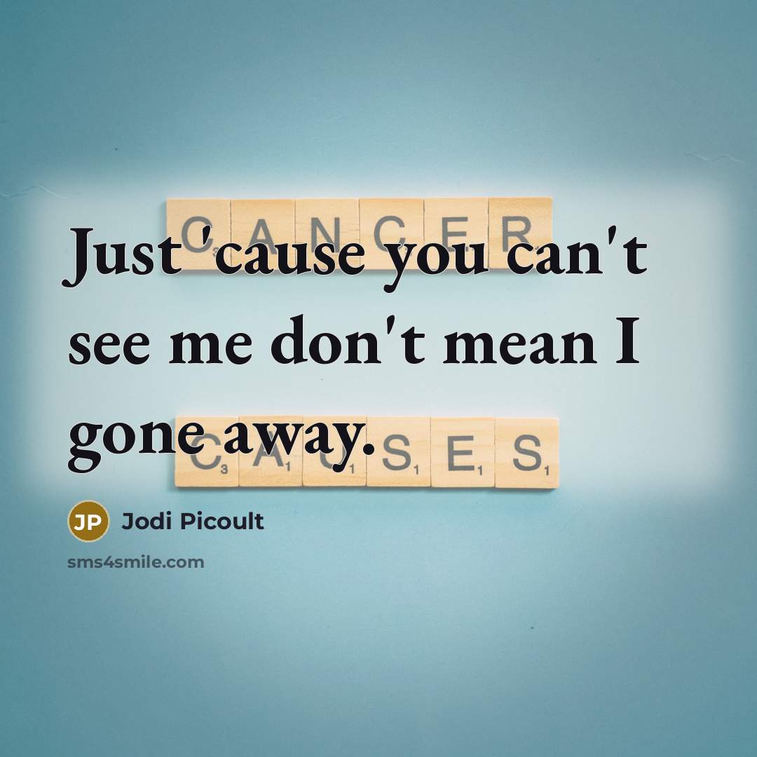 “Just 'cause you can't see me don't mean I gone…” quote by Jodi Picoult