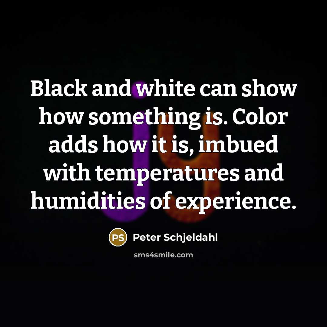 “Black and white can show how something is. Color adds…” quote by Peter Schjeldahl