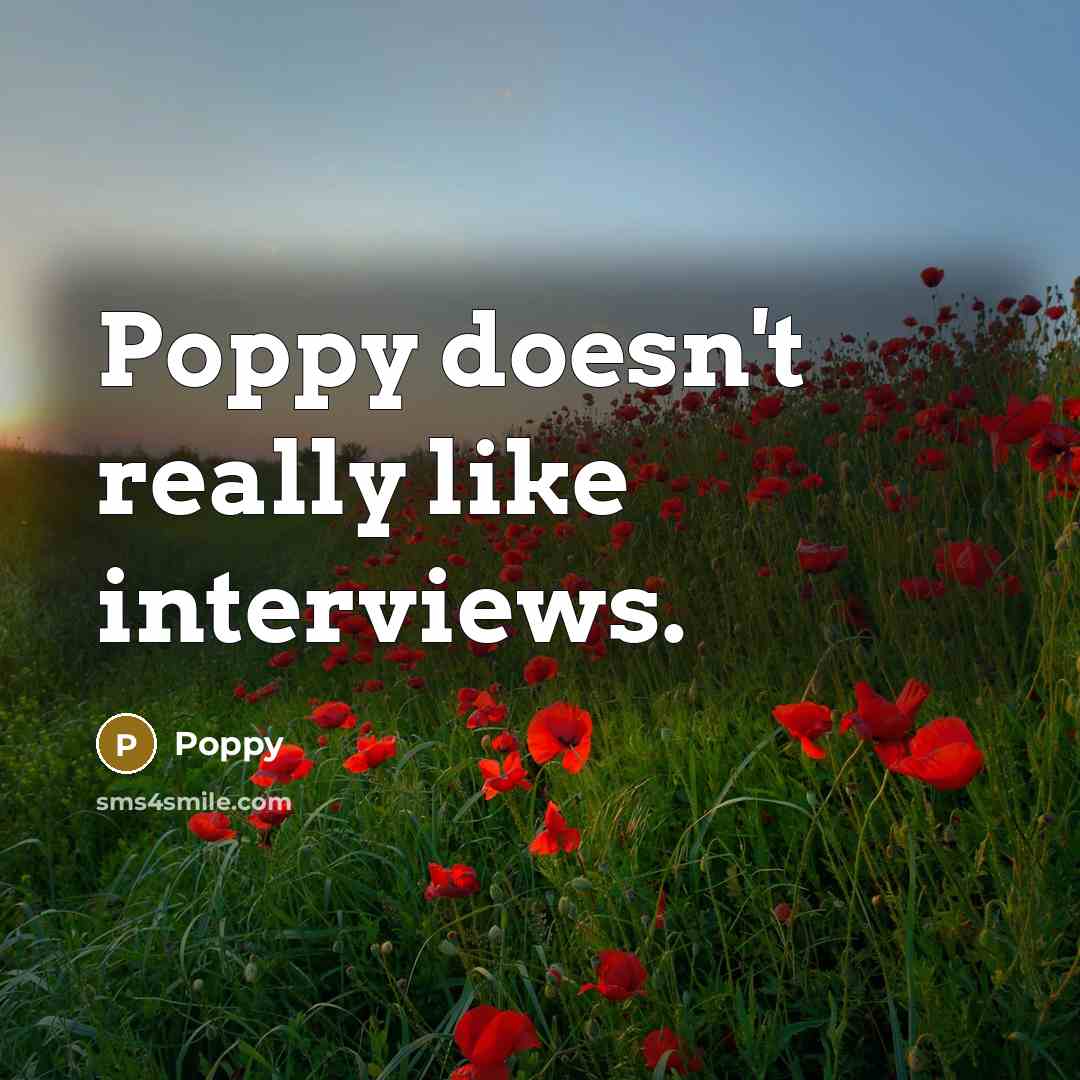 “Poppy doesn't really like interviews.” quote by Poppy