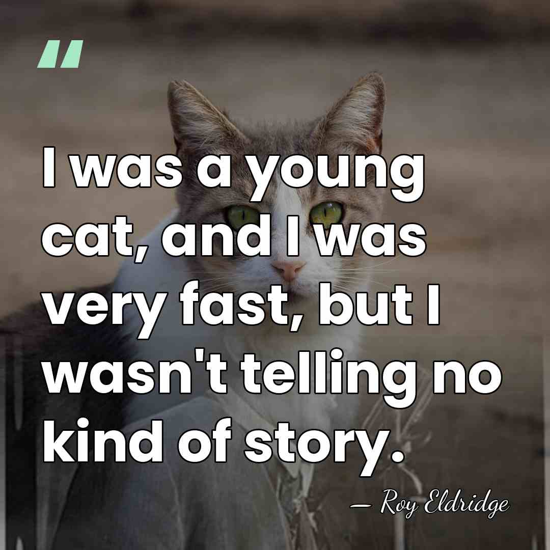 I was a young cat, and I was very fast, but I&hellip; - Roy Eldridge