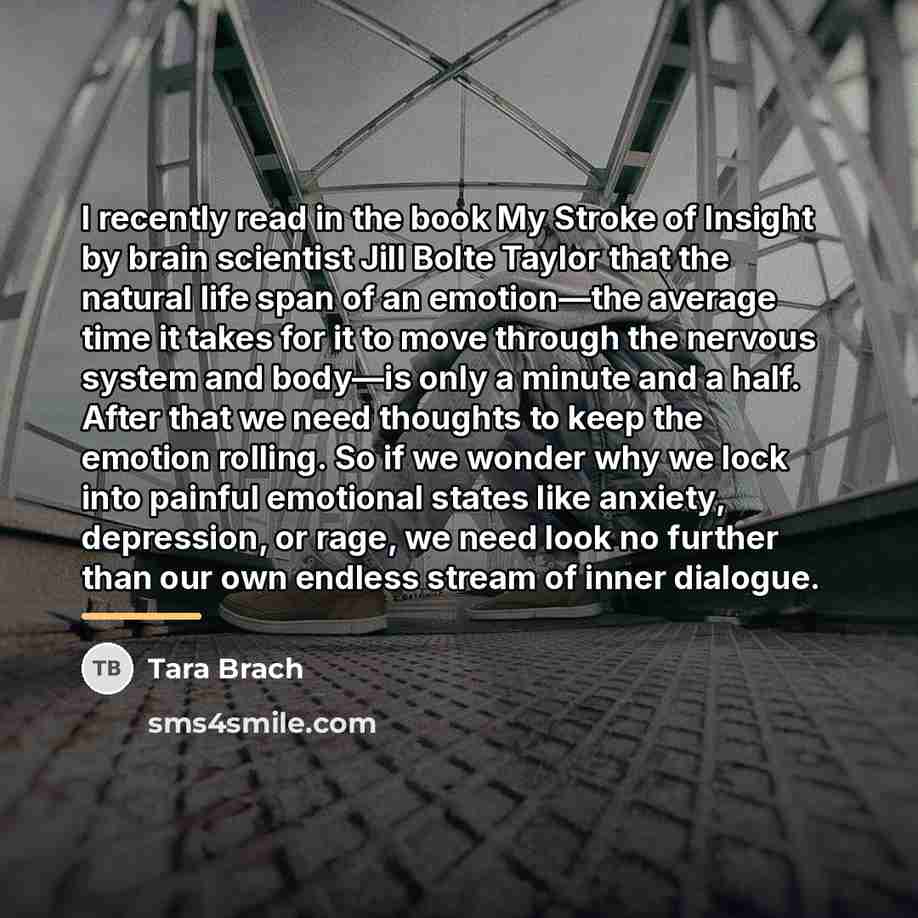 “I recently read in the book My Stroke of Insight…” quote by Tara Brach