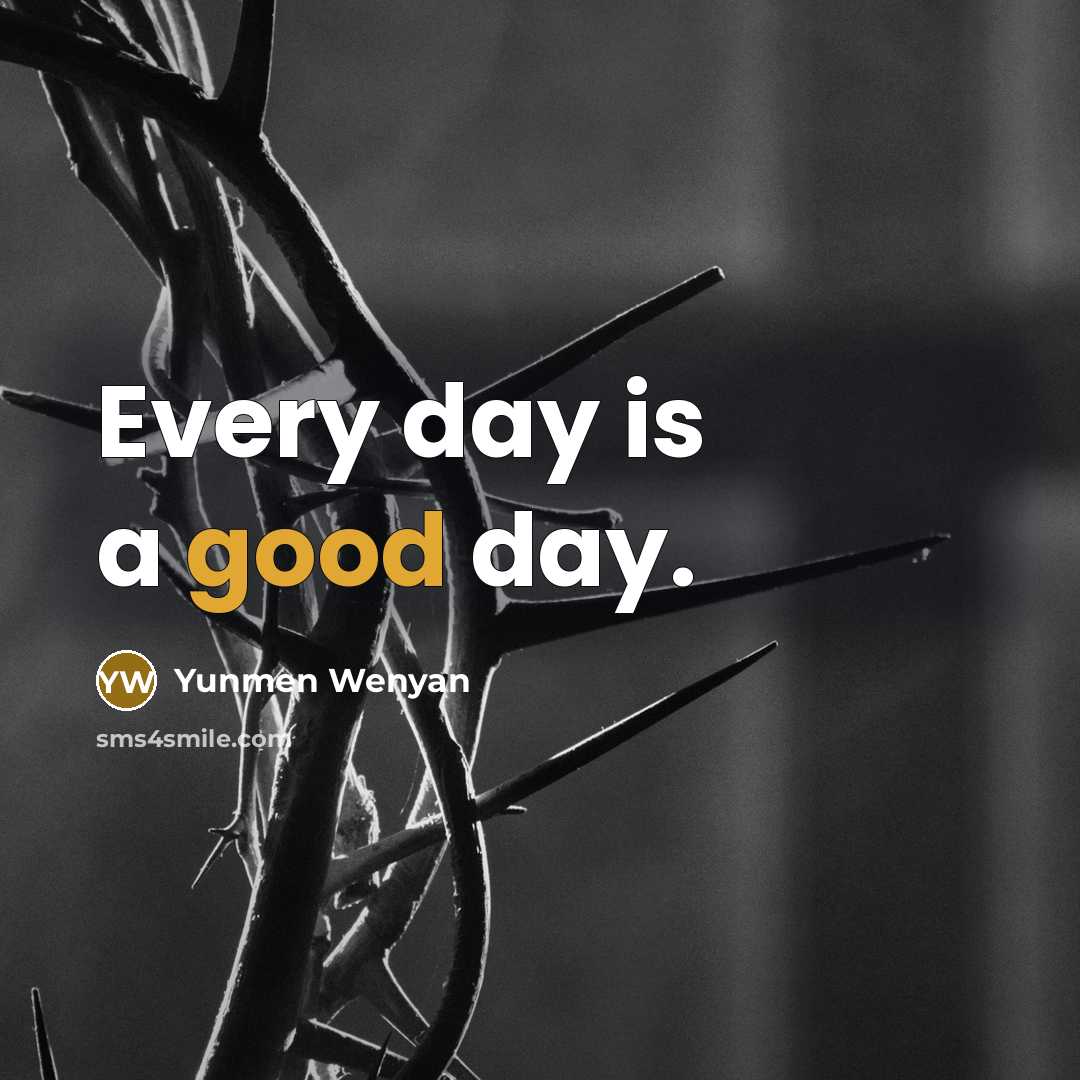 “Every day is a good day.…” quote by Yunmen Wenyan