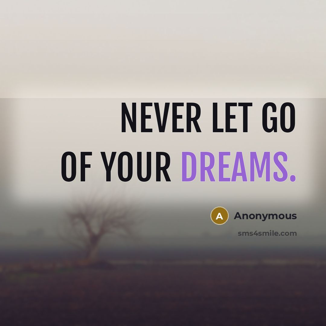 “Never let go of your dreams.…” quote by Anonymous