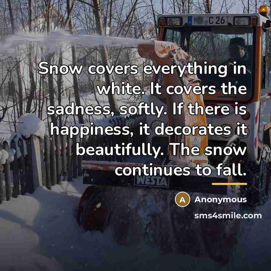 “Snow covers everything in white. It covers the sadness, softly.…” quote by Anonymous
