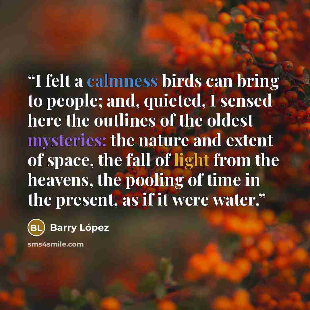 “I felt a calmness birds can bring to people; and, quieted, I sensed here the outlines of the oldest mysteries: the nature and extent of space, the fall of light from the heavens, the pooling of time in the present, as if it were water.” quote by Barry López