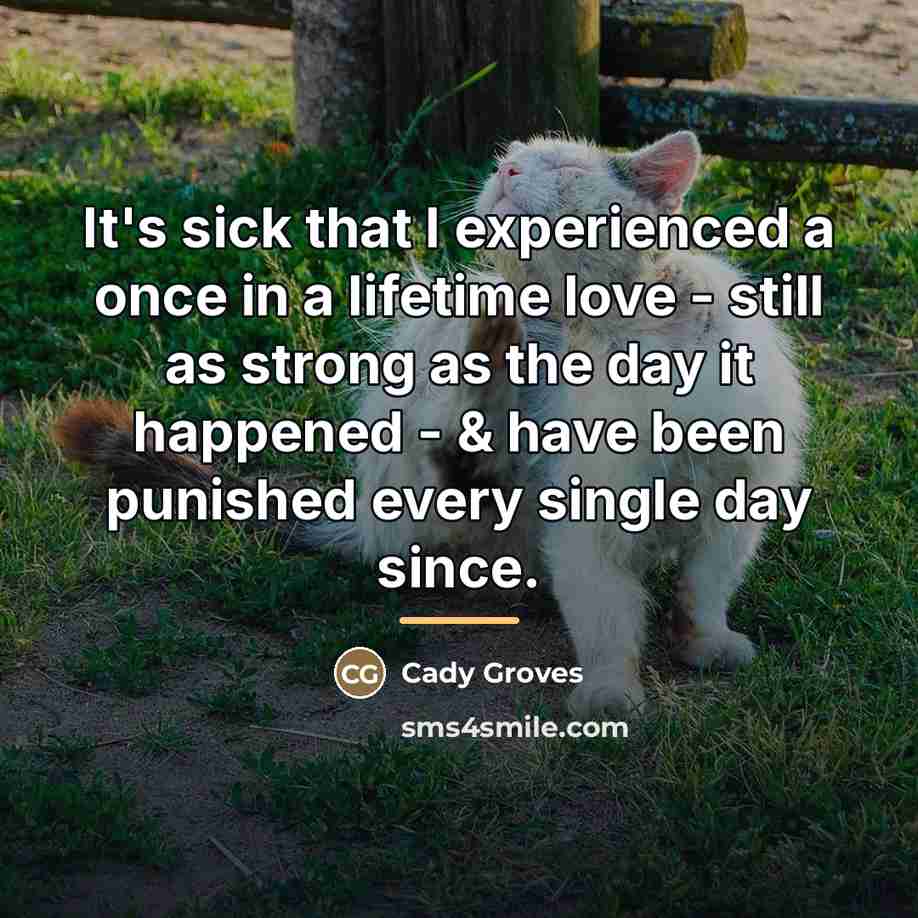 “It's sick that I experienced a once in a lifetime…” quote by Cady Groves