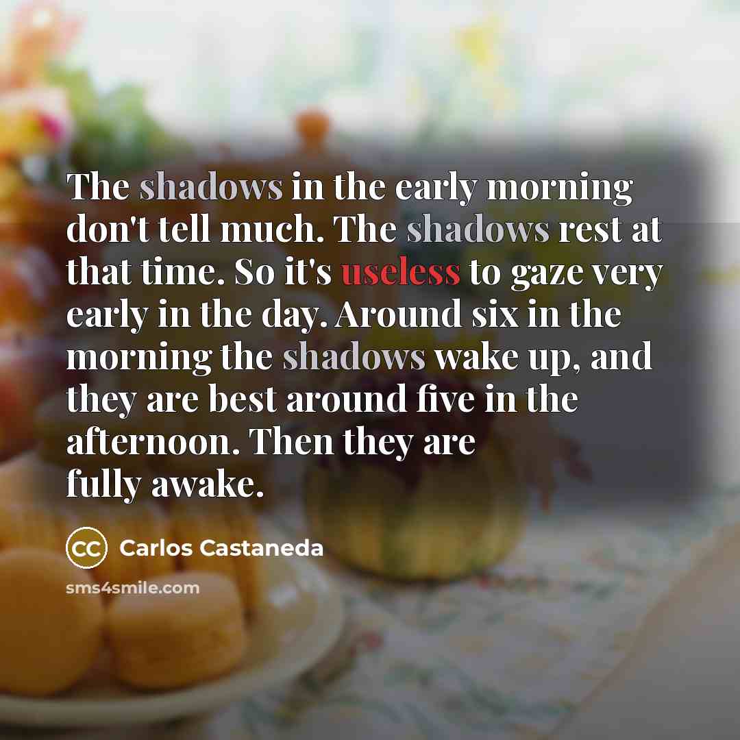 “The shadows in the early morning don't tell much. The…” quote by Carlos Castaneda