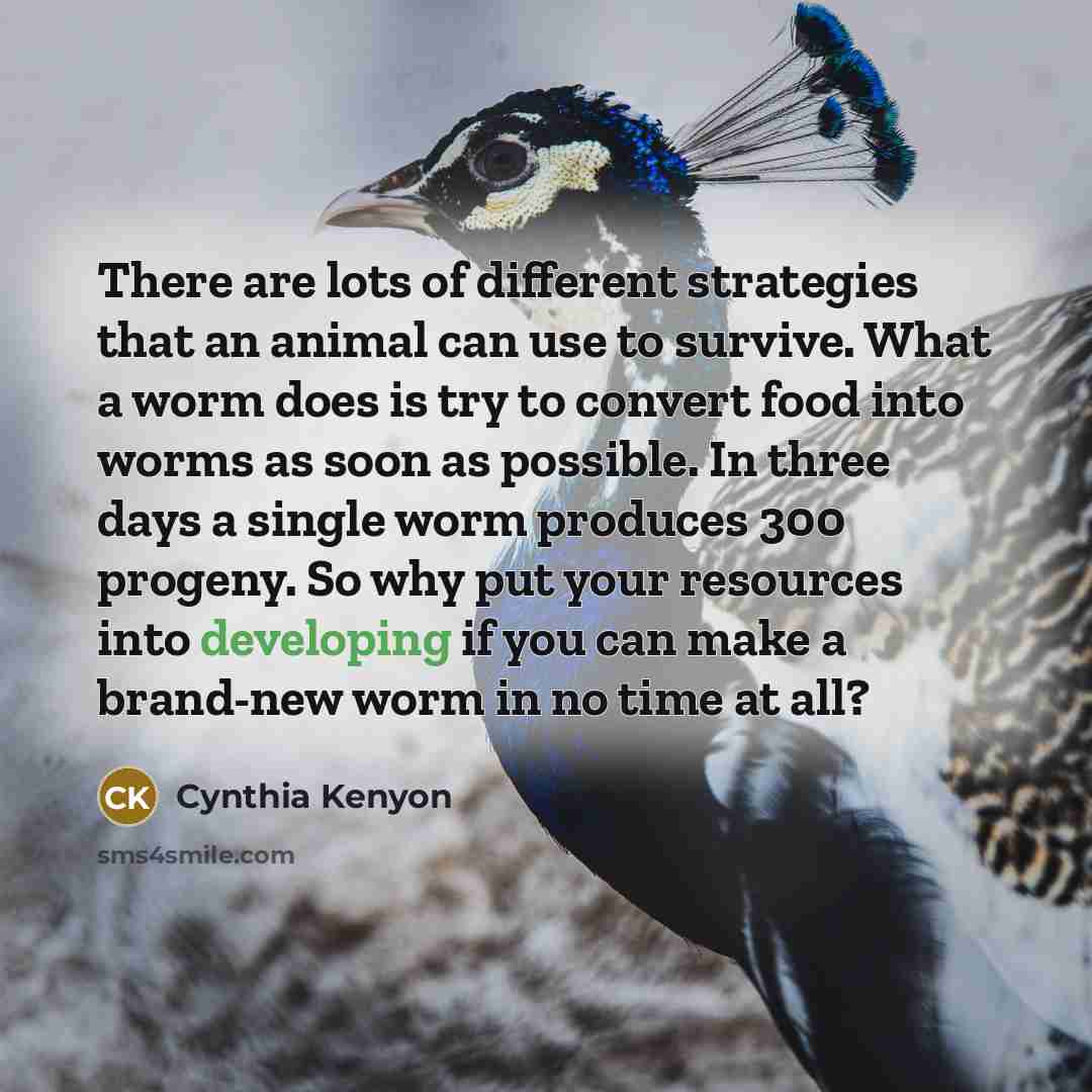 “There are lots of different strategies that an animal can…” quote by Cynthia Kenyon
