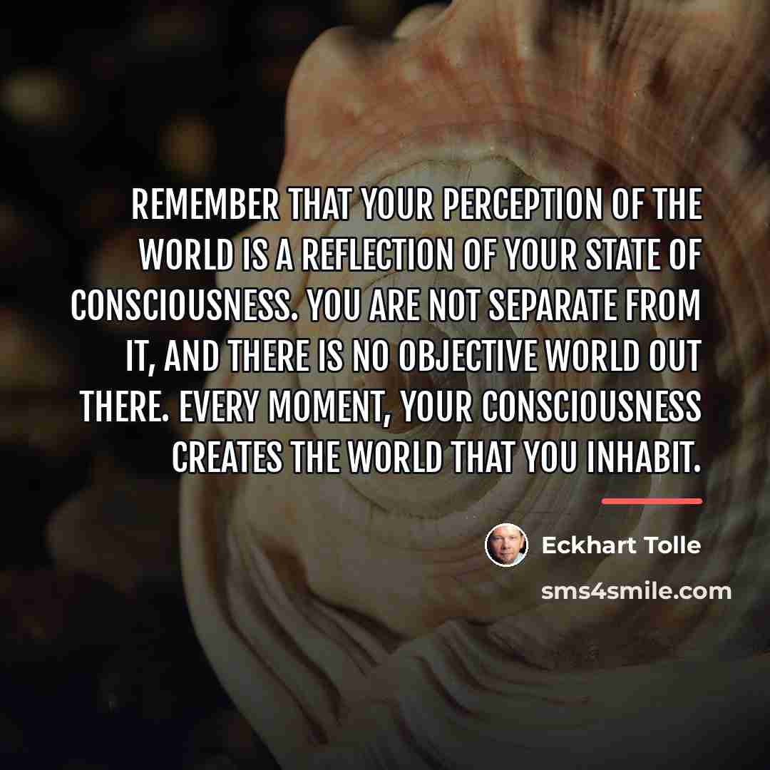 “Remember that your perception of the world is a reflection…” quote by Eckhart Tolle