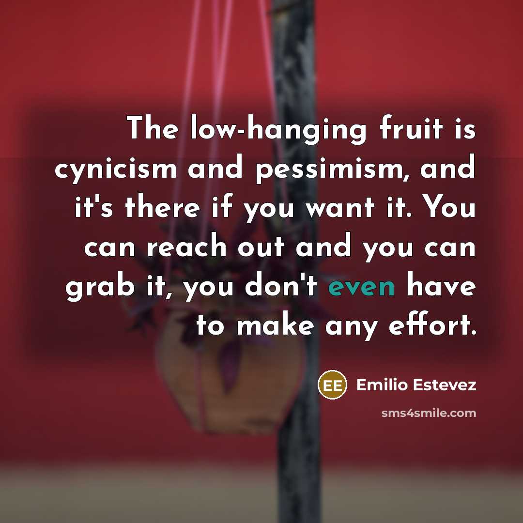 “The low-hanging fruit is cynicism and pessimism, and it's there…” quote by Emilio Estevez