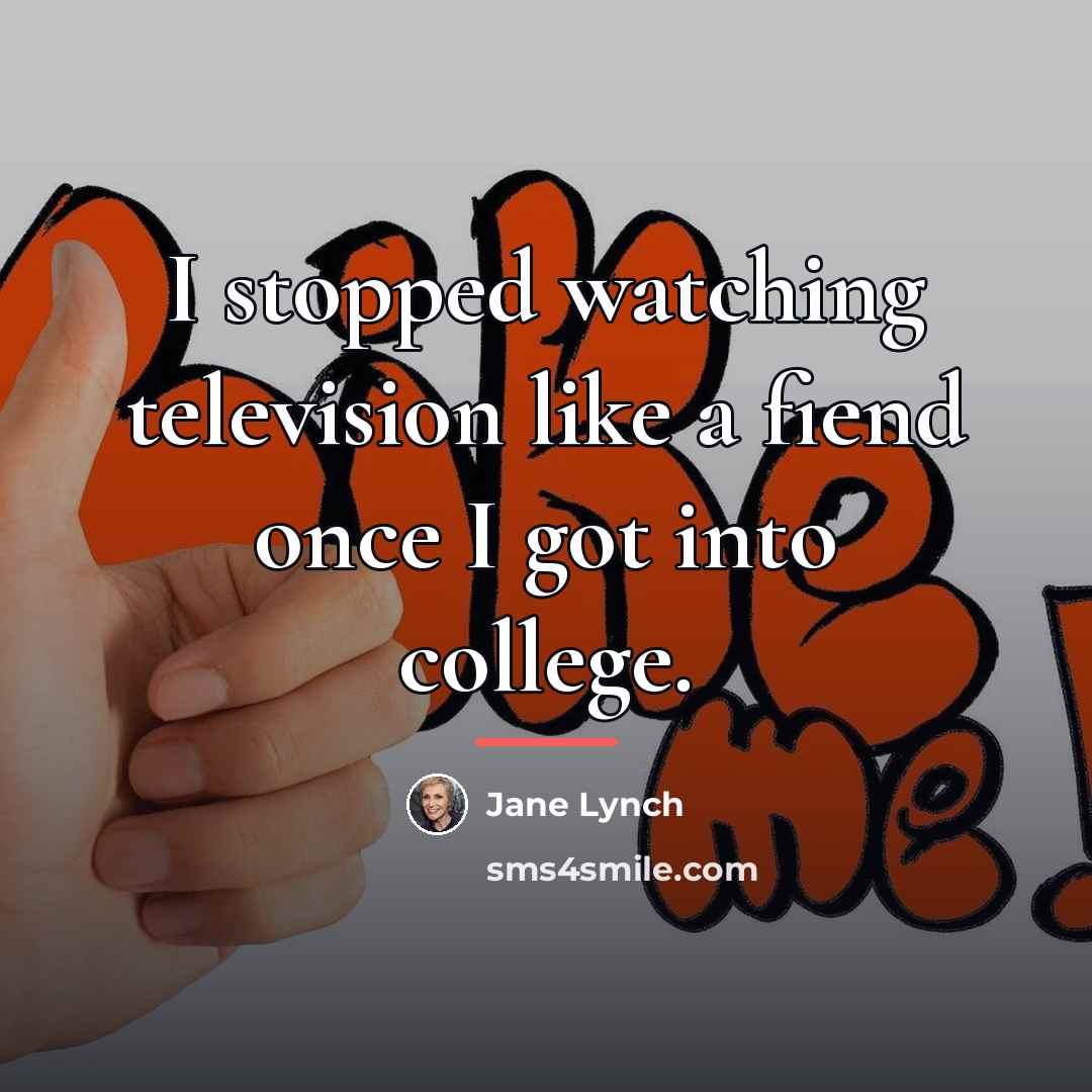 “I stopped watching television like a fiend once I got…” quote by Jane Lynch