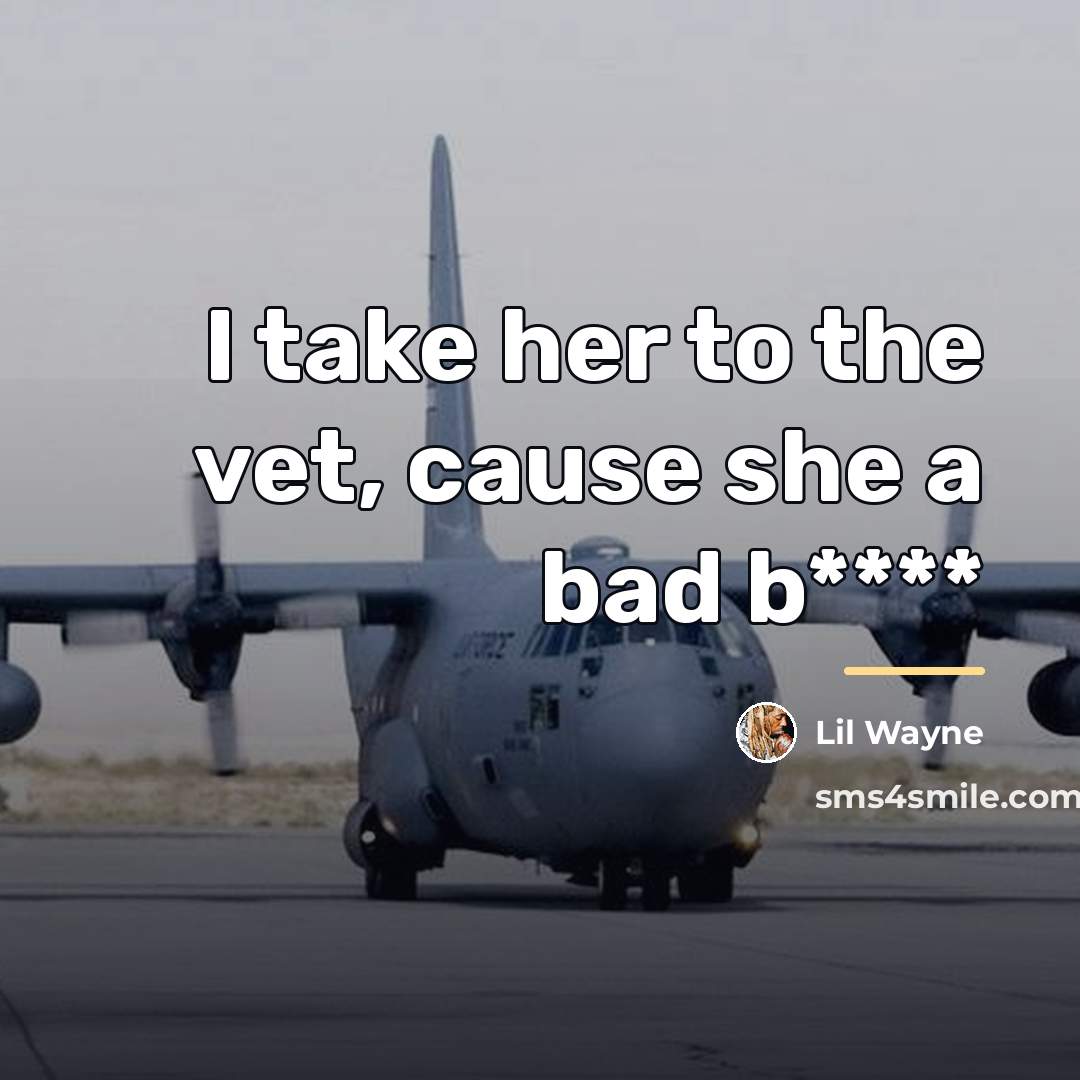 “I take her to the vet, cause she a bad…” quote by Lil Wayne