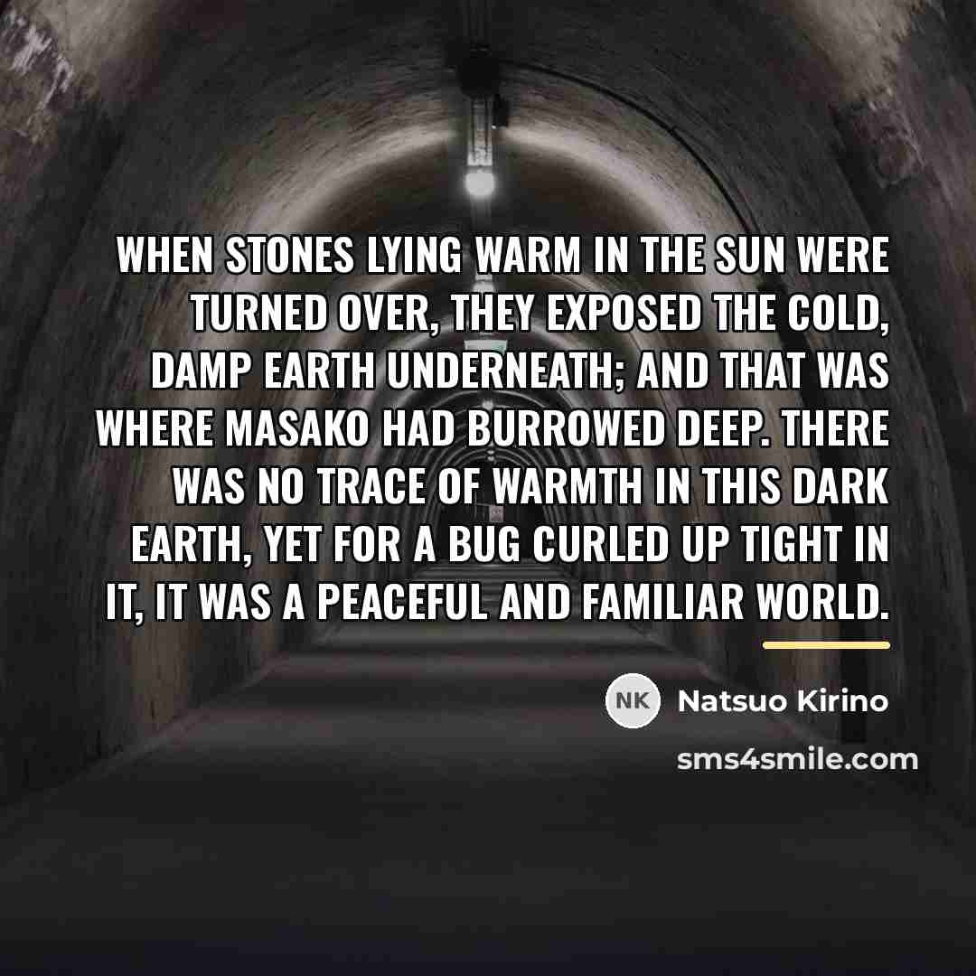 “When stones lying warm in the sun were turned over,…” quote by Natsuo Kirino