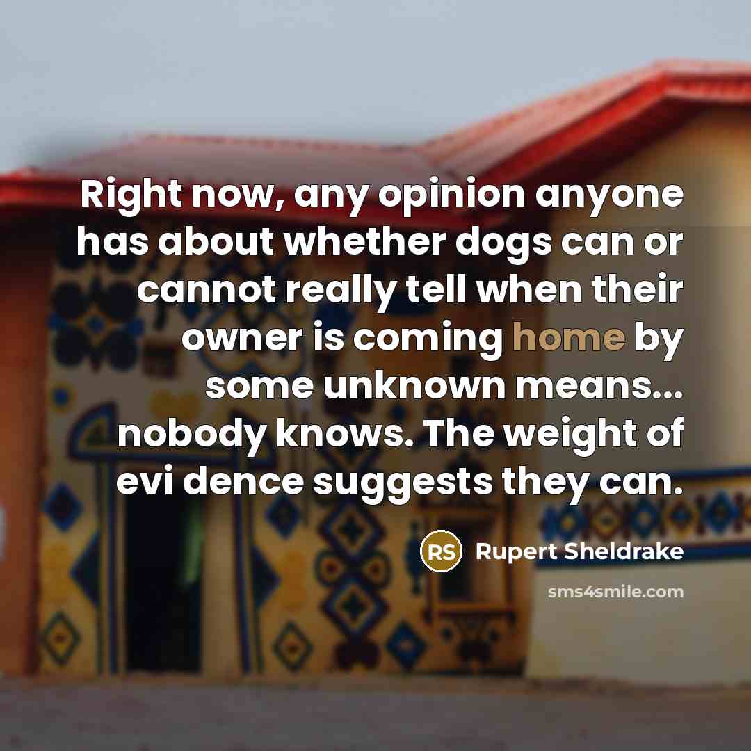 “Right now, any opinion anyone has about whether dogs can…” quote by Rupert Sheldrake