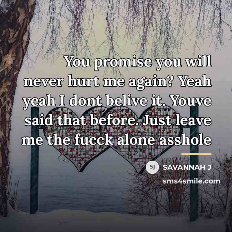 “You promise you will never hurt me again? Yeah yeah…” quote by Savannah J