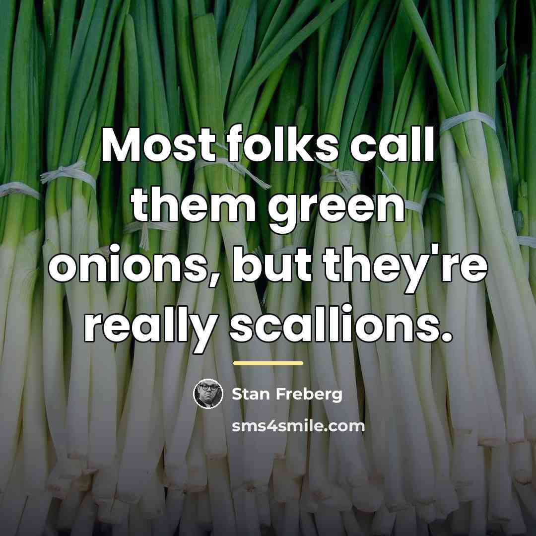 “Most folks call them green onions, but they're really scallions.…” quote by Stan Freberg