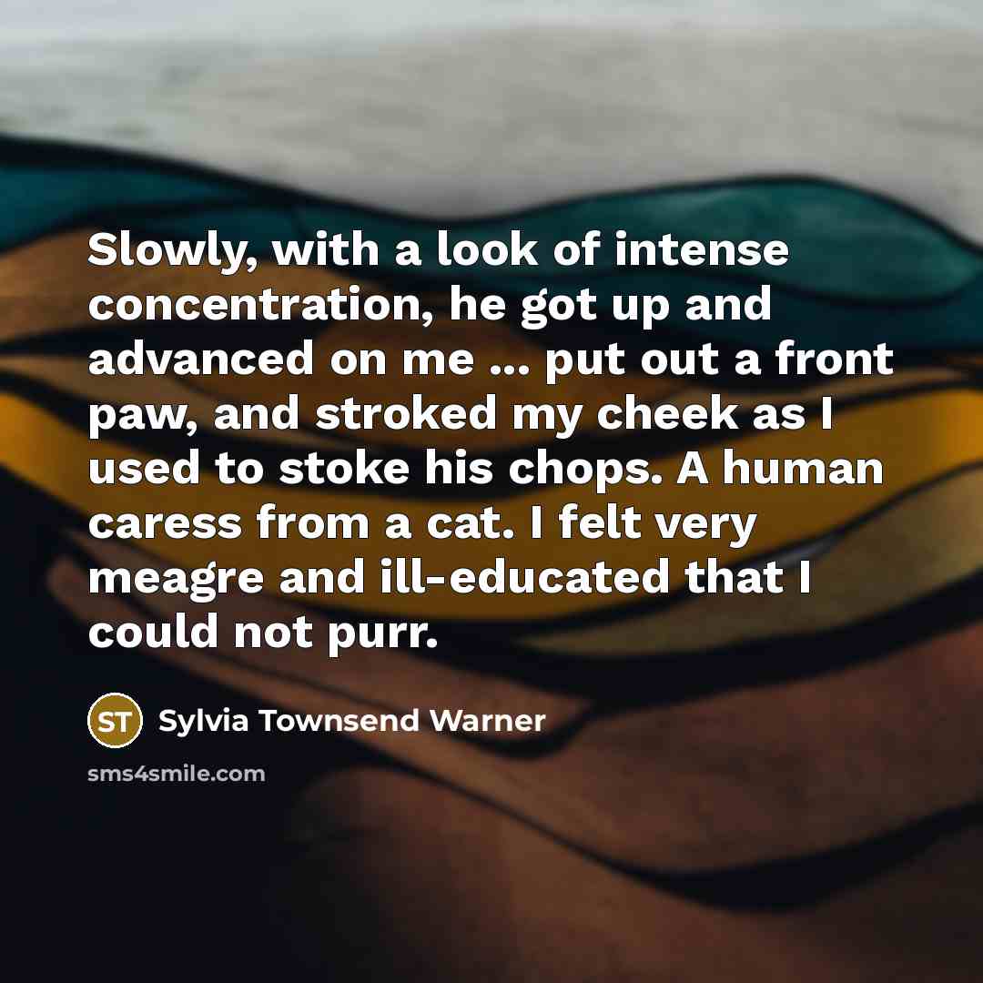 “Slowly, with a look of intense concentration, he got up…” quote by Sylvia Townsend Warner