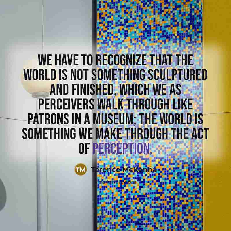 “We have to recognize that the world is not something…” quote by Terence McKenna