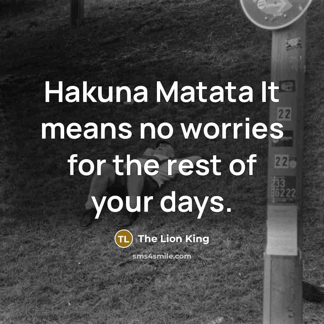 “Hakuna Matata It means no worries for the rest of…” quote by The Lion King