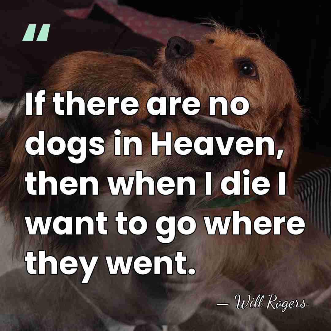 If there are no dogs in Heaven, then when I die I&hellip; - Will Rogers