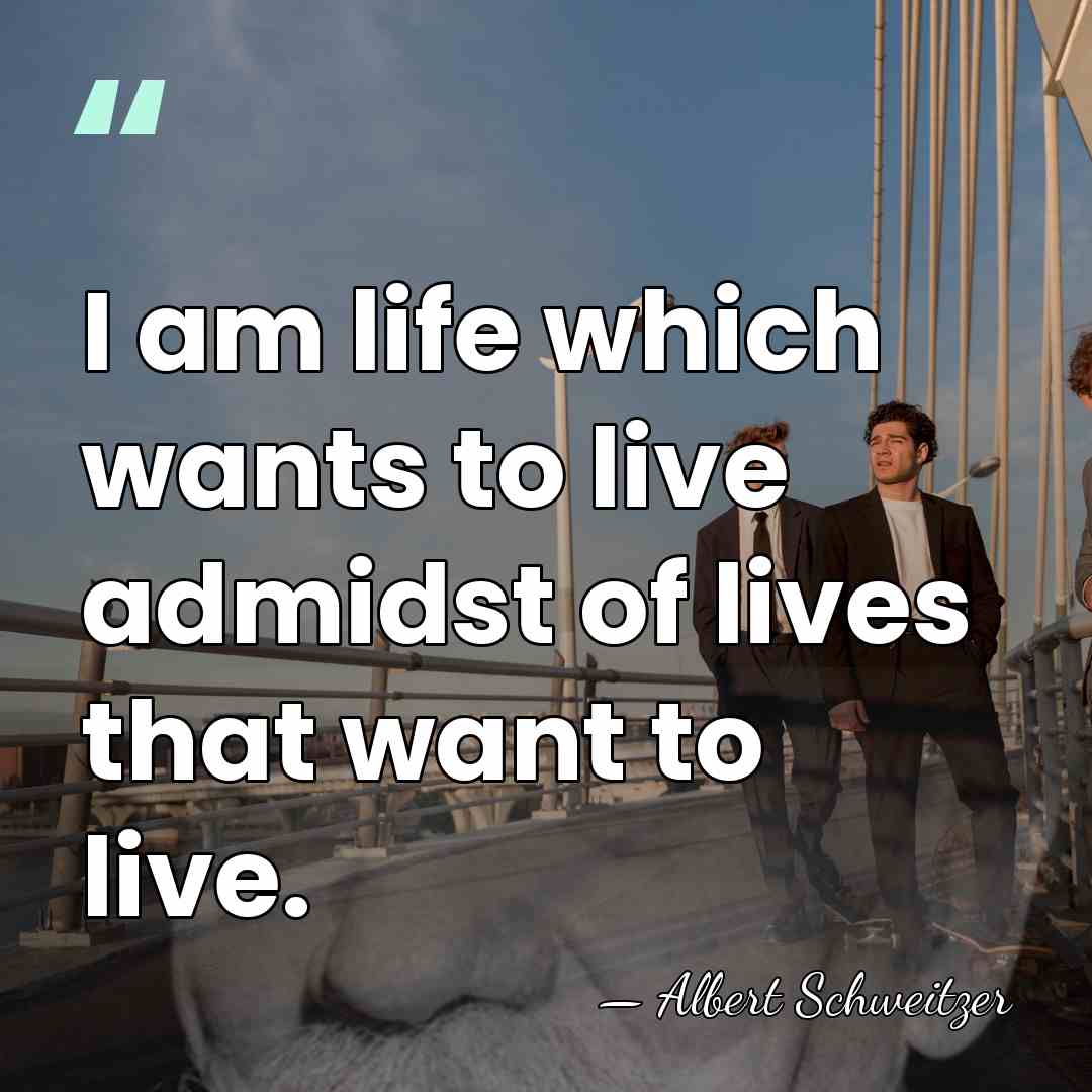 I am life which wants to live admidst of lives that want&hellip; - Albert Schweitzer