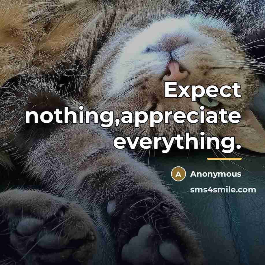 “Expect nothing,appreciate everything.…” quote by Anonymous