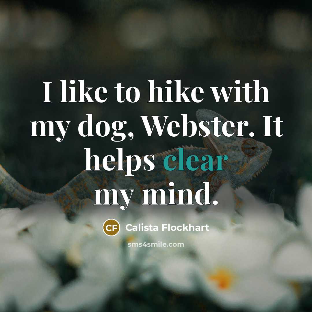 “I like to hike with my dog, Webster. It helps clear my mind.” quote by Calista Flockhart