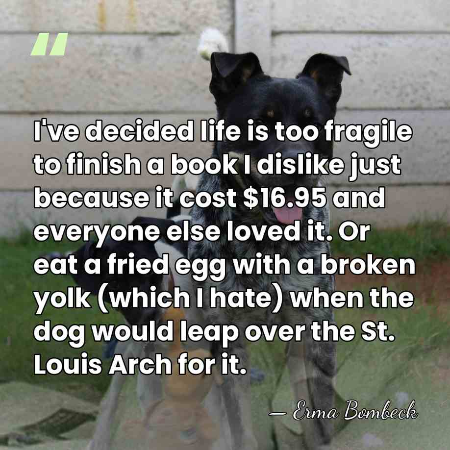 I've decided life is too fragile to finish a book I dislike&hellip; - Erma Bombeck