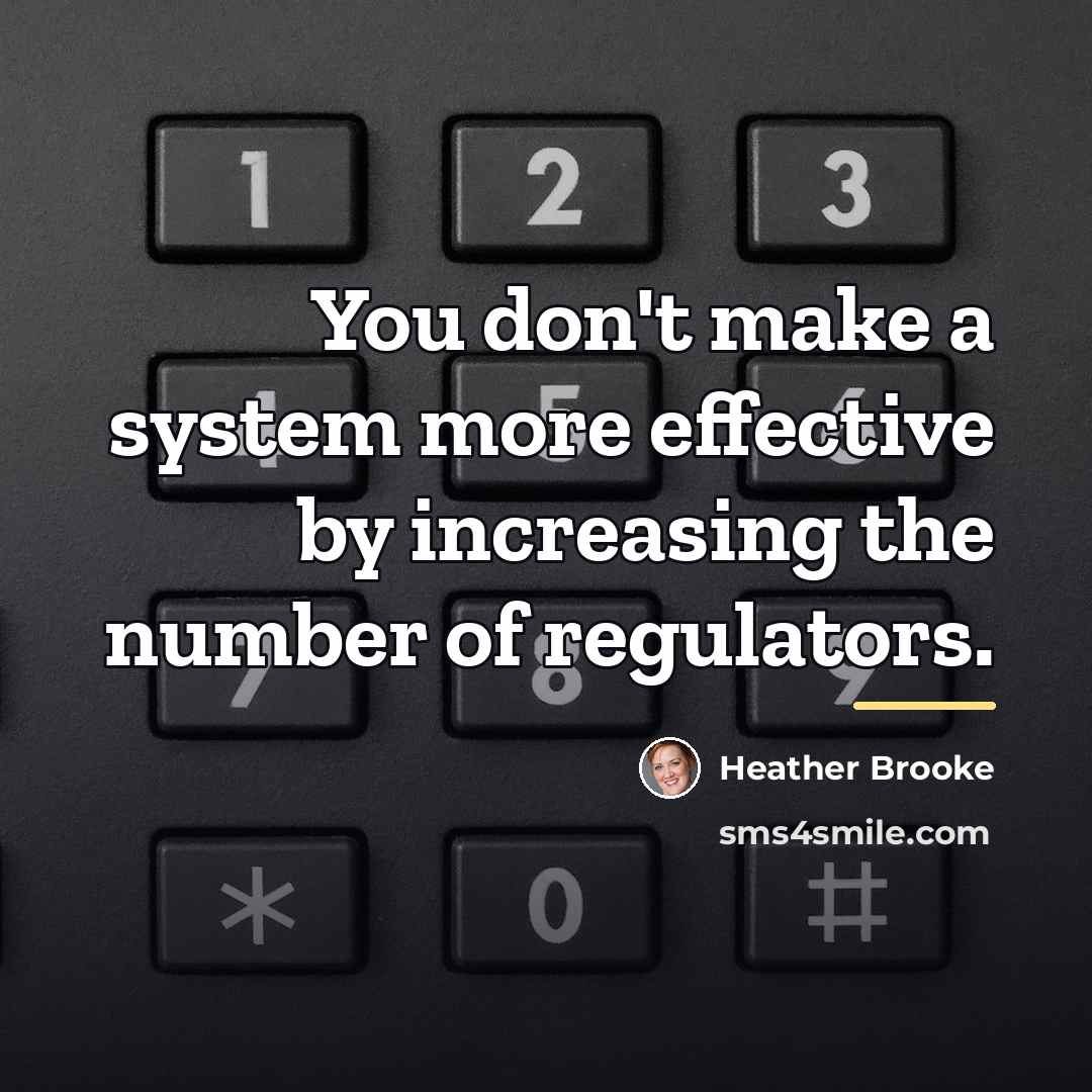 “You don't make a system more effective by increasing the…” quote by Heather Brooke