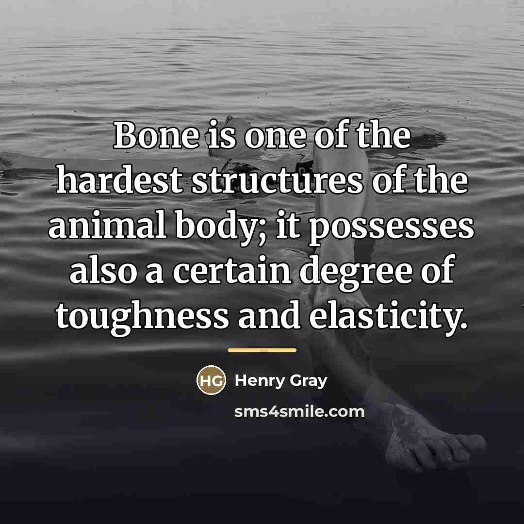“Bone is one of the hardest structures of the animal…” quote by Henry Gray