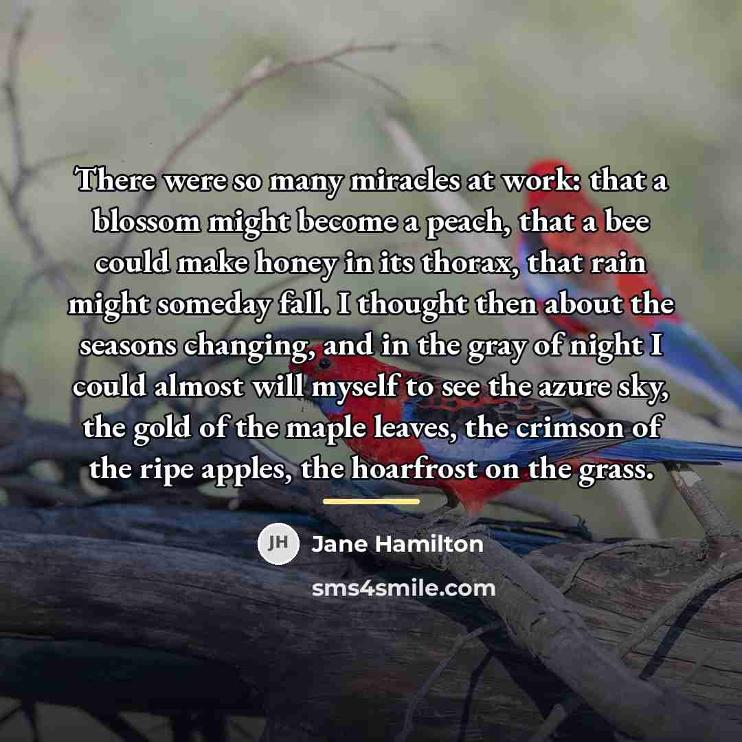 “There were so many miracles at work: that a blossom…” quote by Jane Hamilton