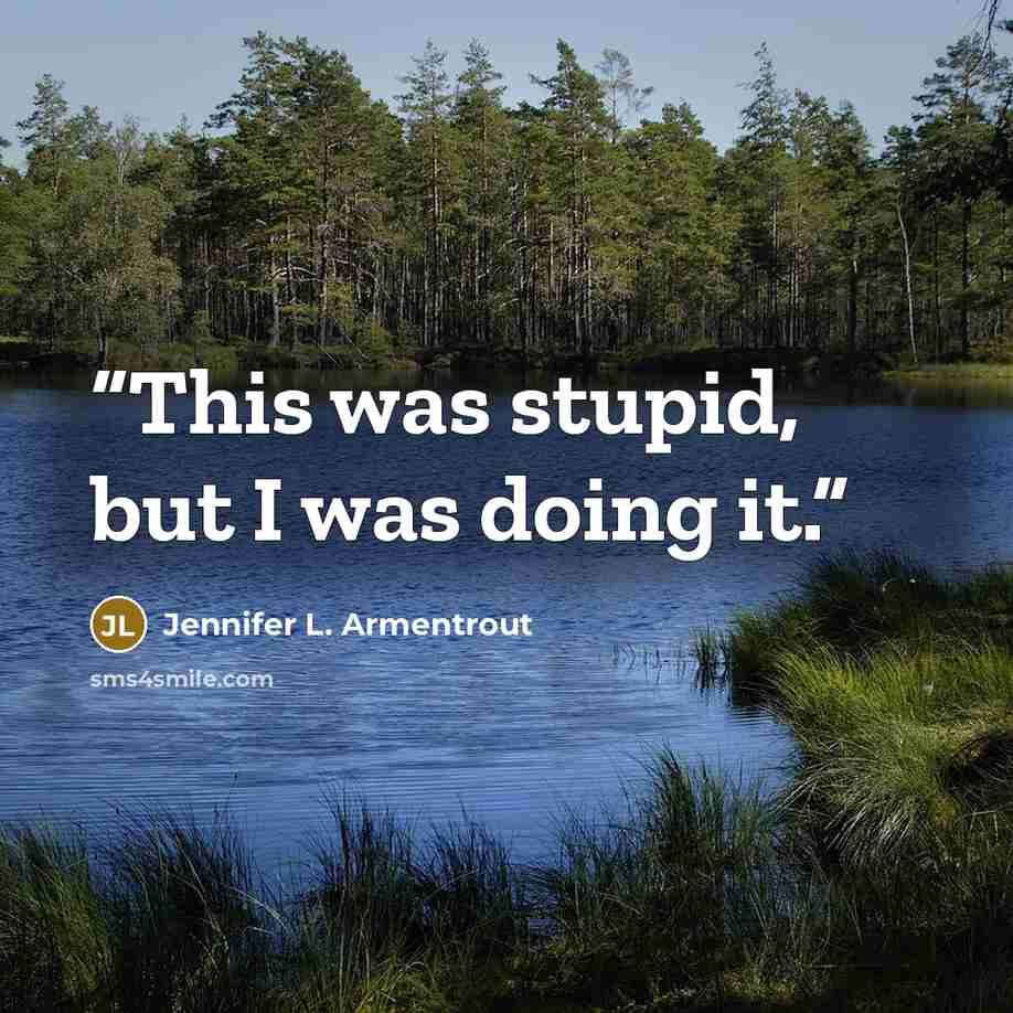 “This was stupid, but I was doing it.” quote by Jennifer L. Armentrout