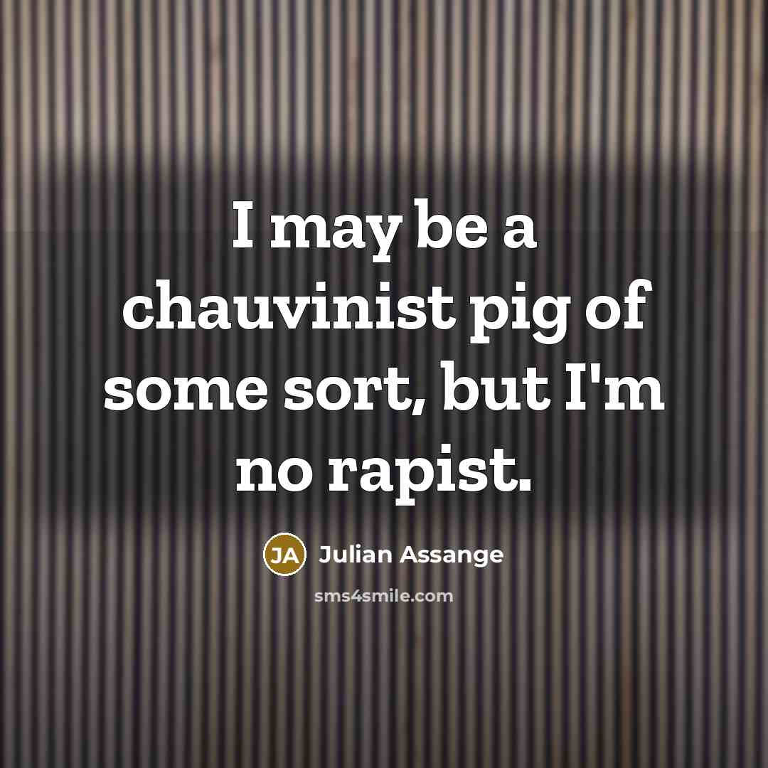 “I may be a chauvinist pig of some sort, but…” quote by Julian Assange