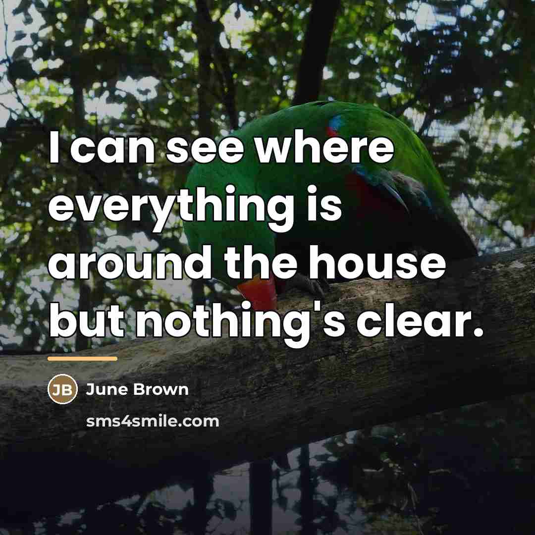 “I can see where everything is around the house but…” quote by June Brown